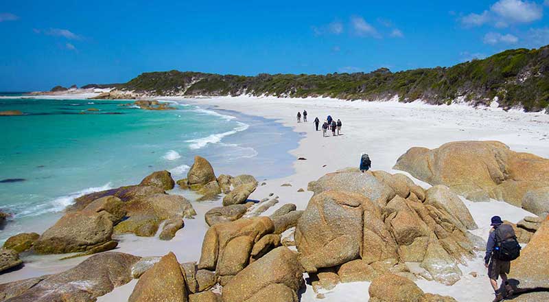 bay of fires preview
