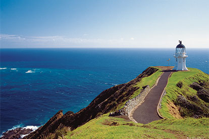 Salt Air Scenic Flights Half Day Cape Reinga by Air