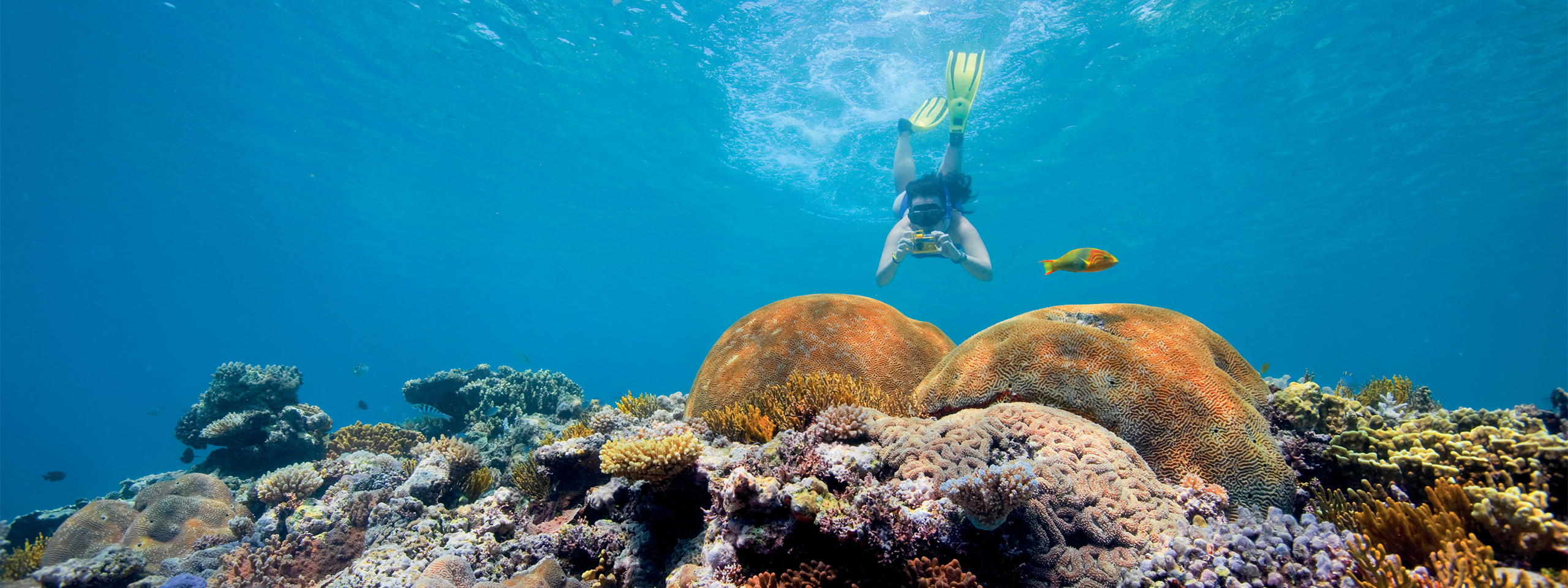 Great Barrier Reef