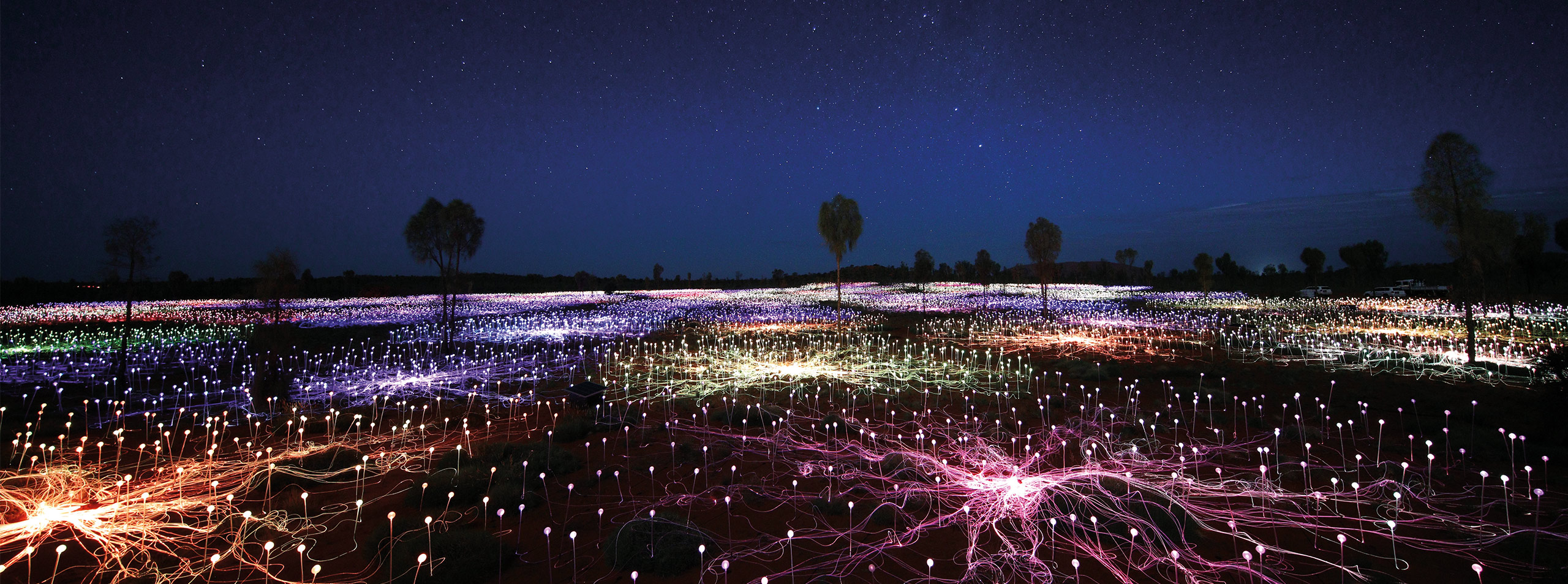 Uluru Sunrise & Field of Light