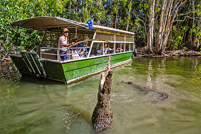 Down Under Tours: Kuranda, Scenic Skyrail & Hartley's Crocodile's (KHC)