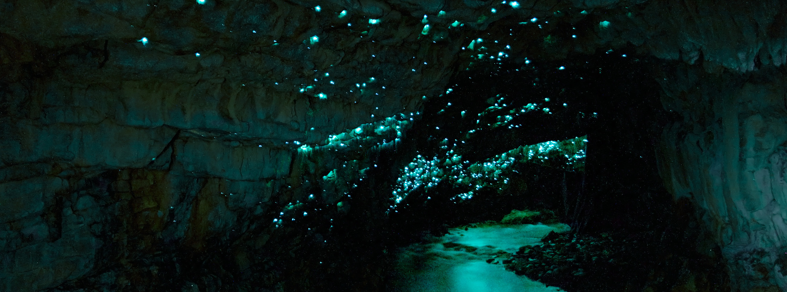 Waitomo Caves