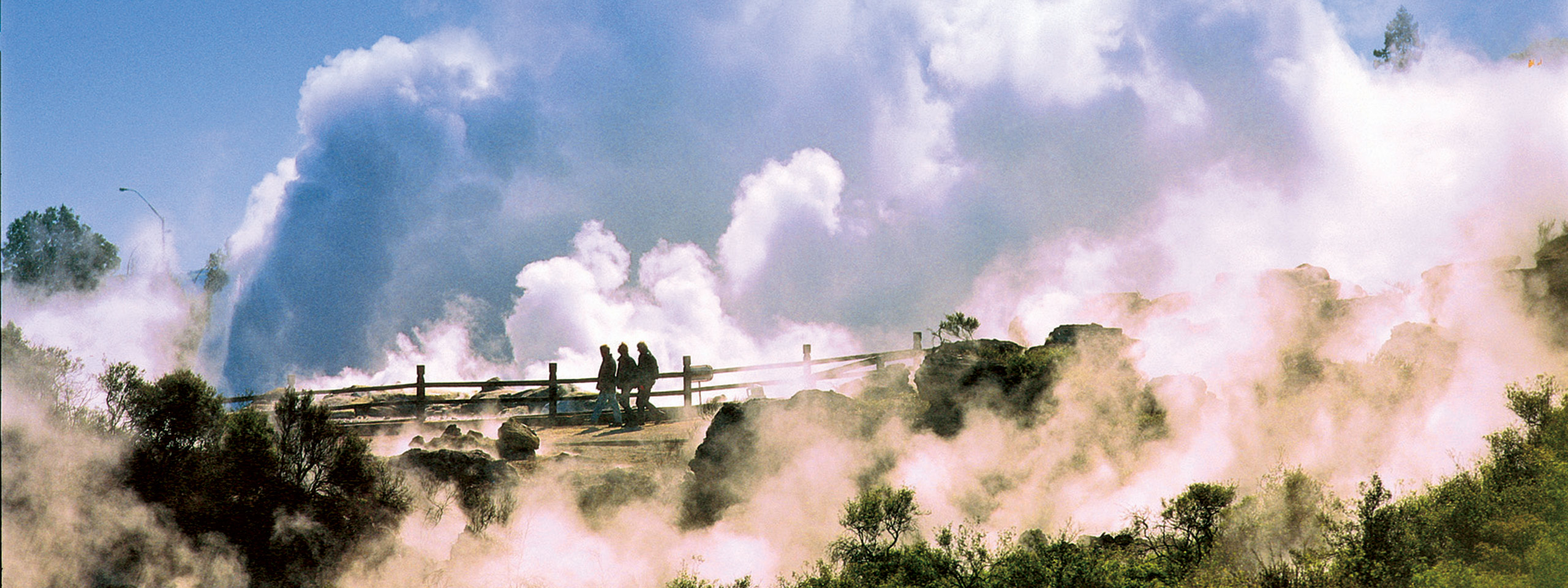 Rotorua Geyser