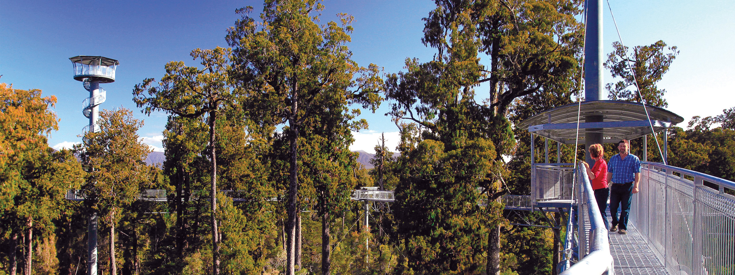 West Coast Tree Top Walk