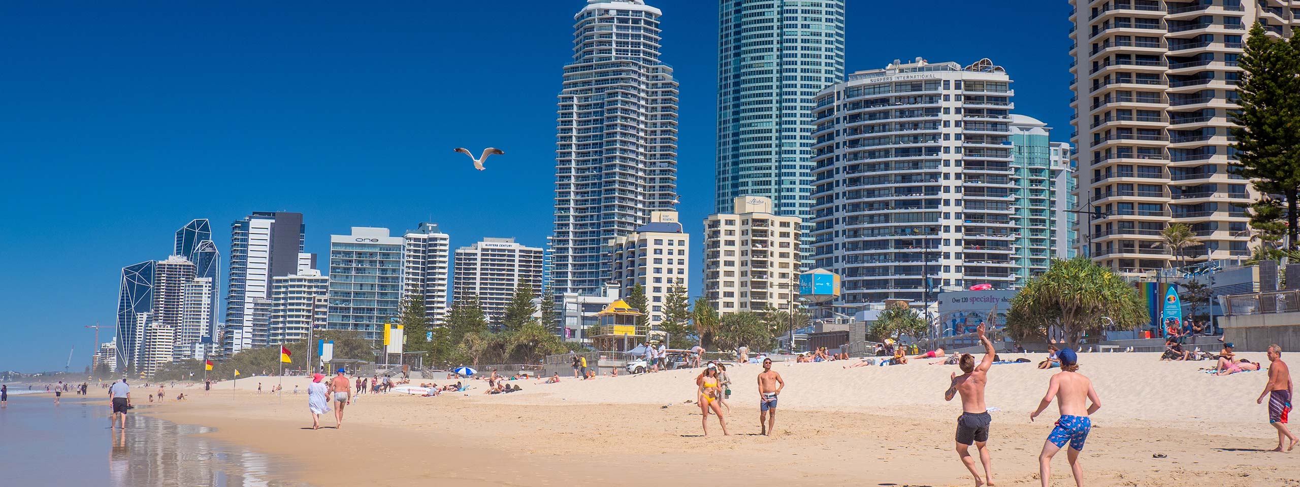 Gold Coast Beach