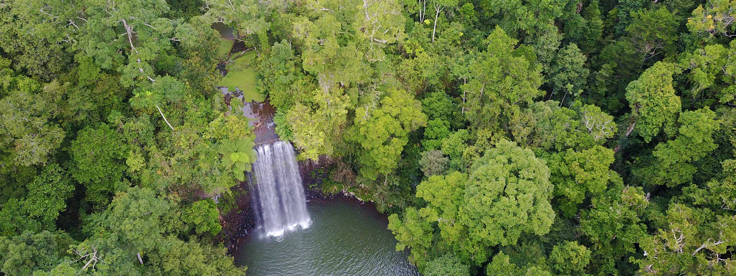 Millaa Millaa Falls