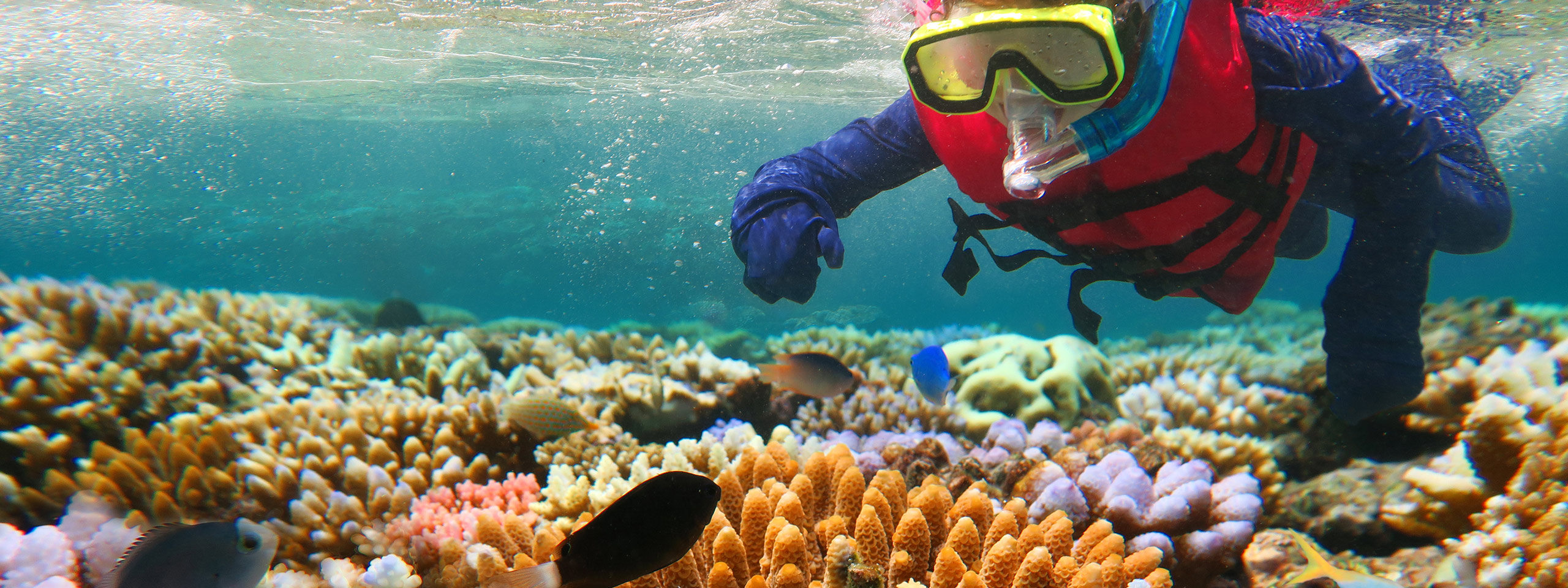 Great Barrier Reef