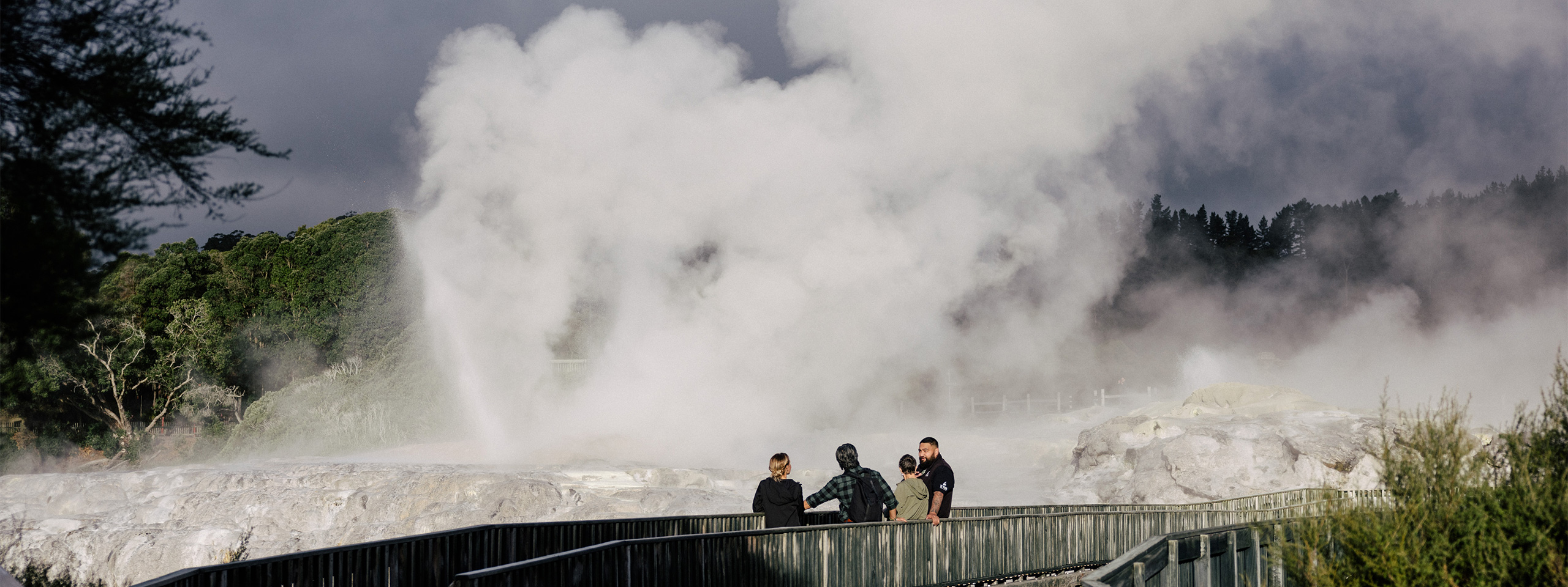 Rotorua Geyser