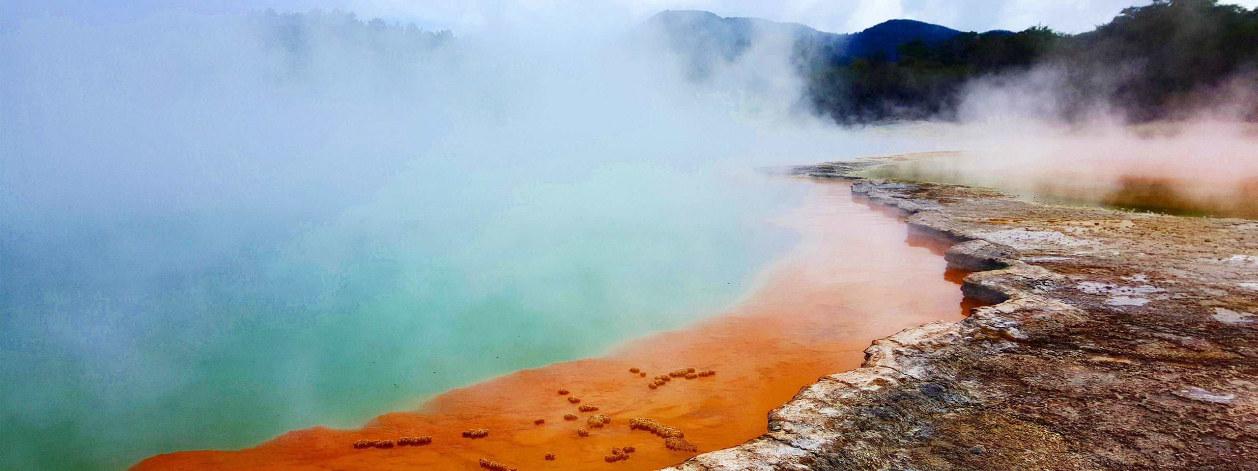 Geothermal Activity, Rotorua