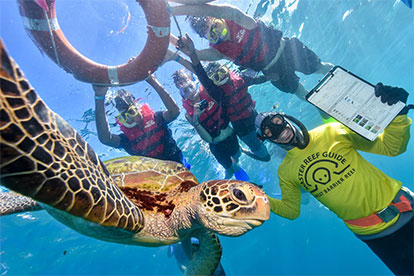 Sunlover Guided Snorkel Safari