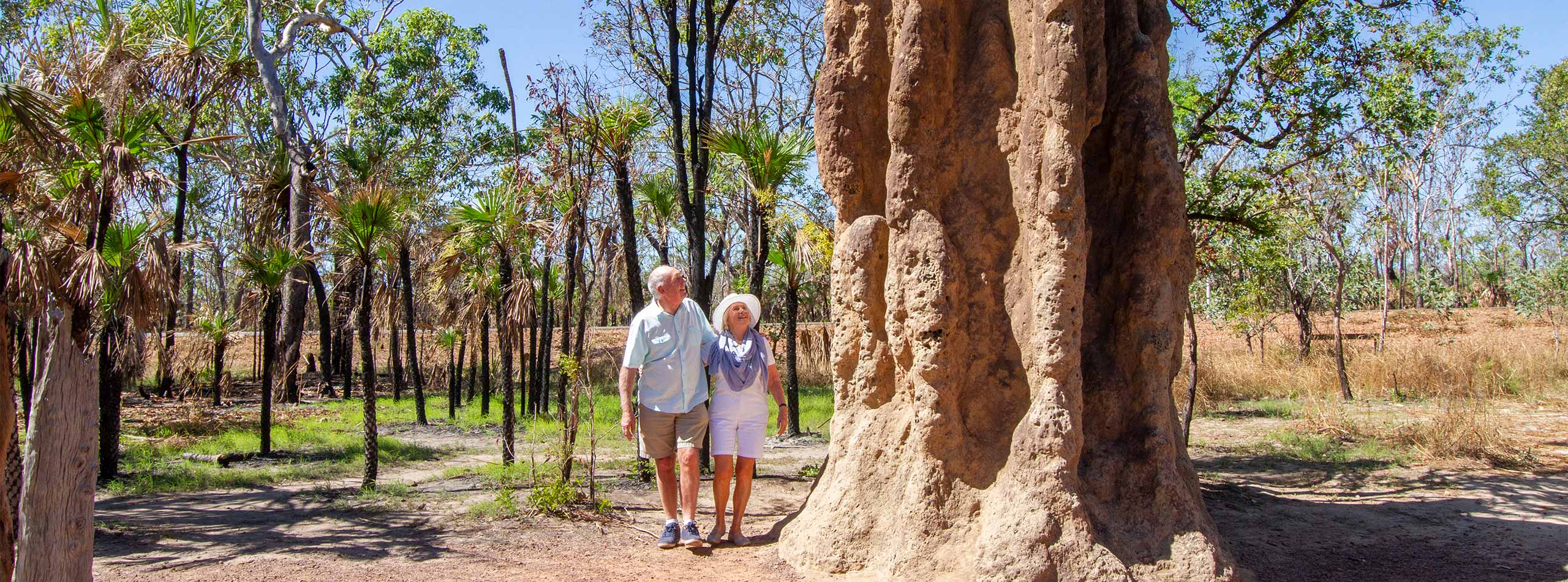 Termite mounds