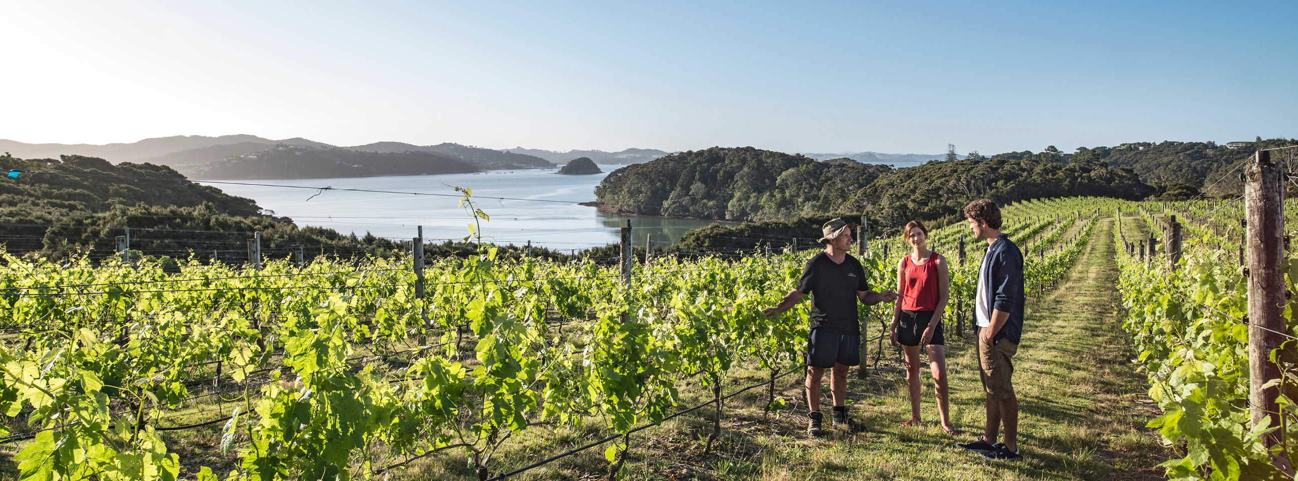 Bay of Islands