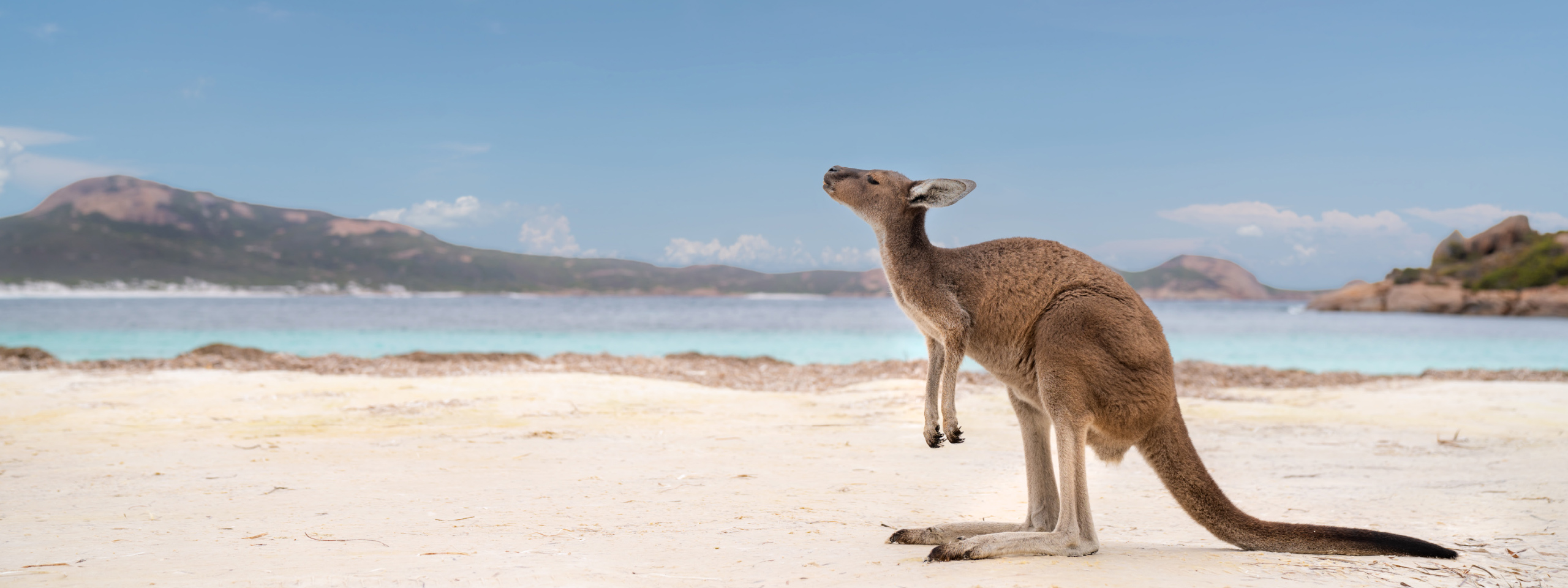 Lucky Bay