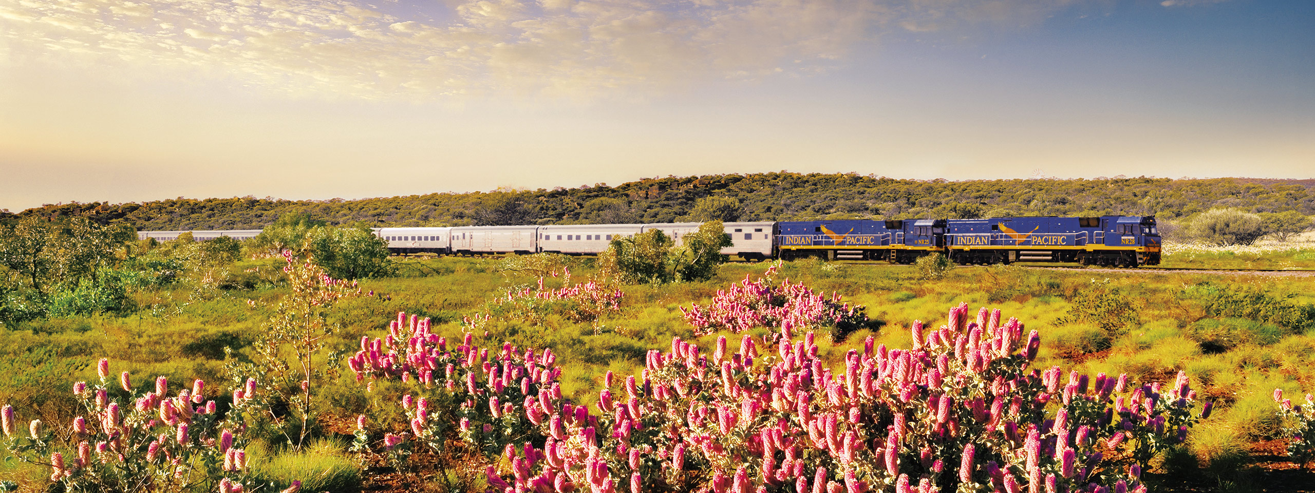 Indian Pacific Train Journey